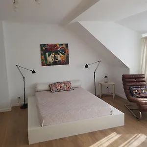 Pensiune Maison Des Fleurs Belgia